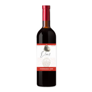 Ghvino.shop | Dano Vineyards Khornabuji Red